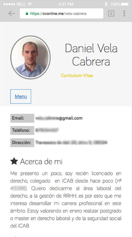 Curriculum Vitae Profesional