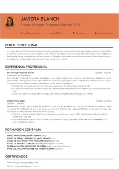 Cv Template Pdf Format With Editable Easy Download - Cvonline.Me