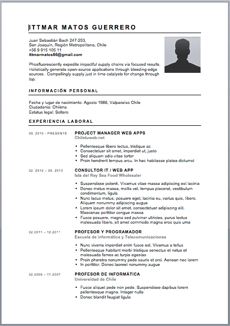 Curriculum Vitae Chile